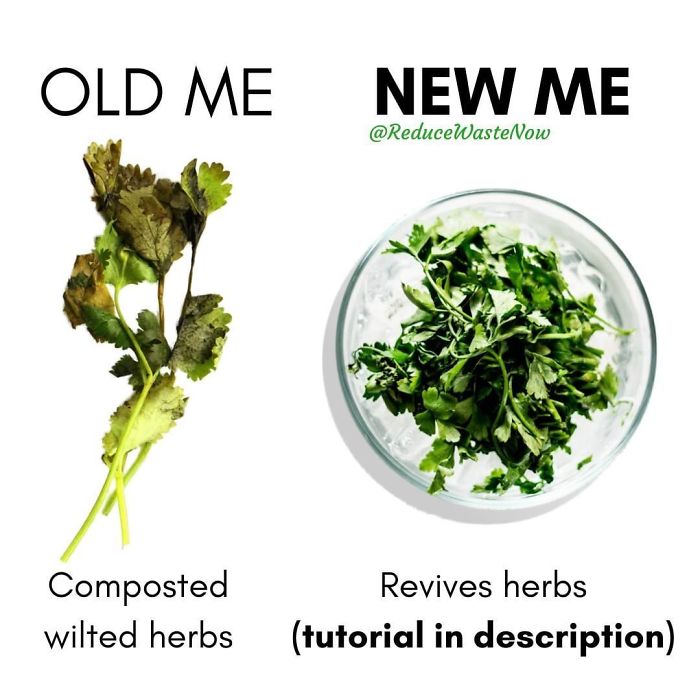 Old-Me-vs.-New-Me-Reduce-Waste-Now