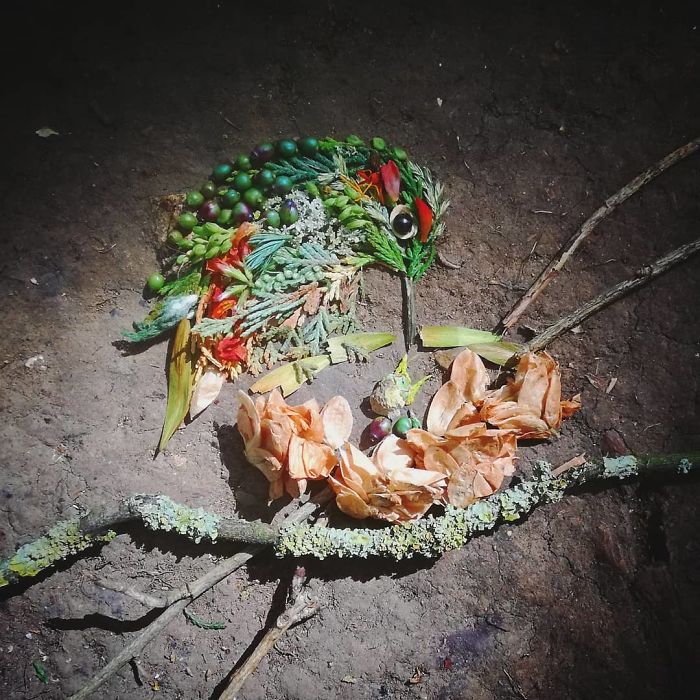 Plant-Flower-Birds-Hannah-Bullen-Ryner