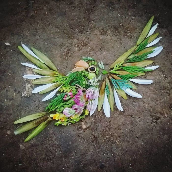 Plant-Flower-Birds-Hannah-Bullen-Ryner