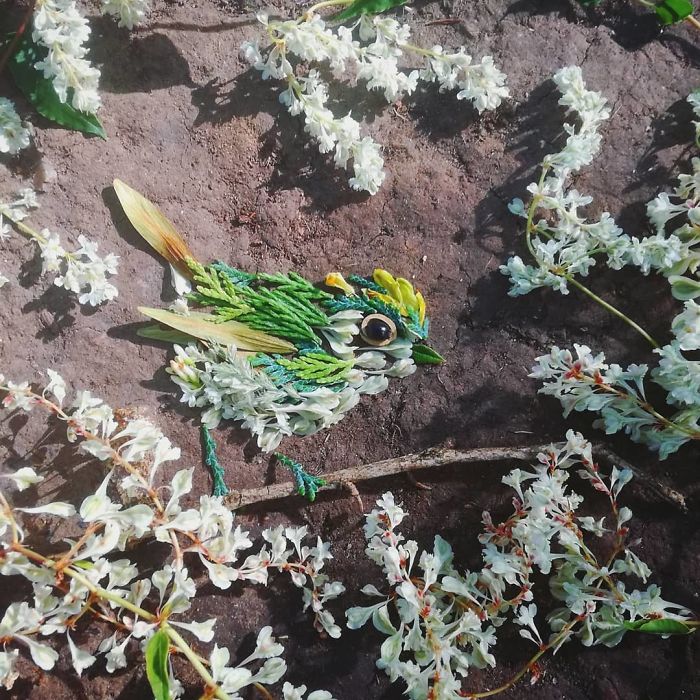 Plant-Flower-Birds-Hannah-Bullen-Ryner