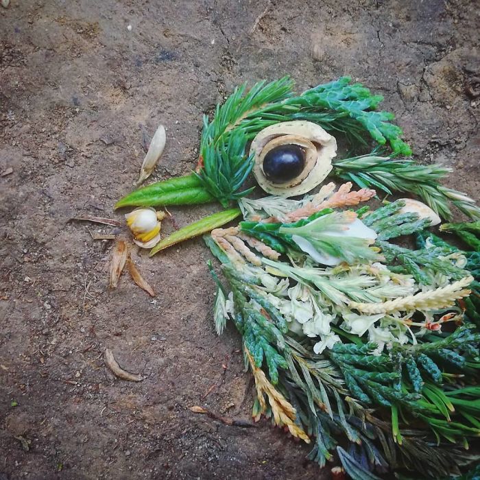 Plant-Flower-Birds-Hannah-Bullen-Ryner