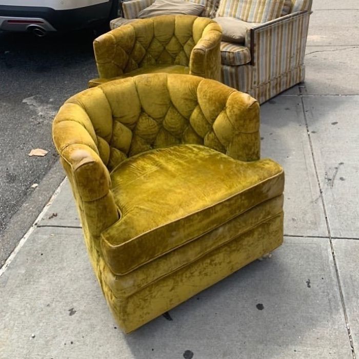 These Two Golden Beauties Spotted In Williamsburg On Grand And Roebling Street #stoopingbrooklyn