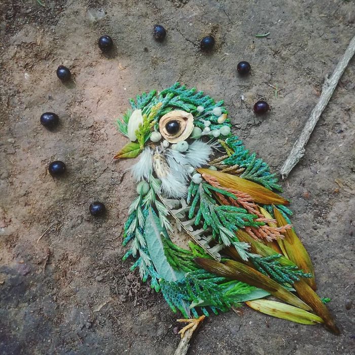 Plant-Flower-Birds-Hannah-Bullen-Ryner