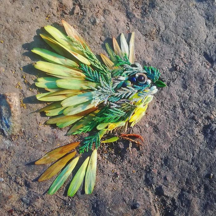 Plant-Flower-Birds-Hannah-Bullen-Ryner