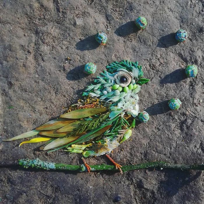 Plant-Flower-Birds-Hannah-Bullen-Ryner