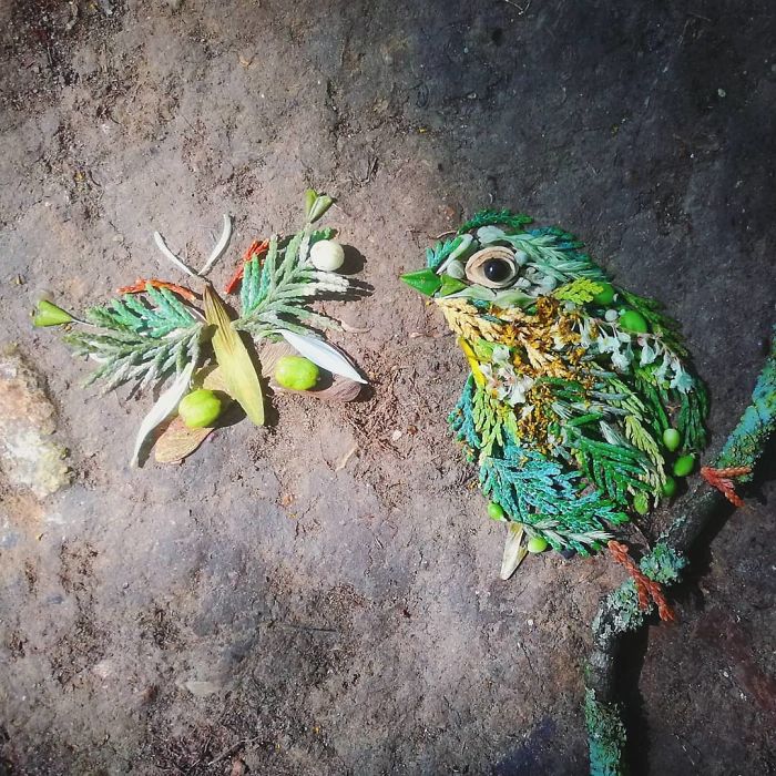 Plant-Flower-Birds-Hannah-Bullen-Ryner