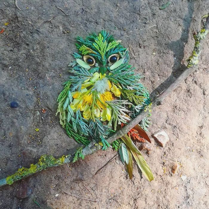 Plant-Flower-Birds-Hannah-Bullen-Ryner