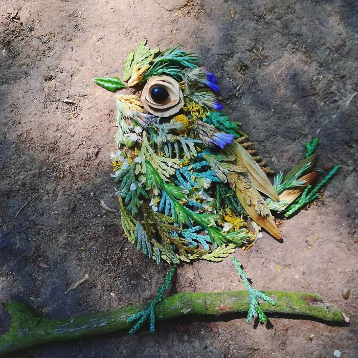 Plant-Flower-Birds-Hannah-Bullen-Ryner