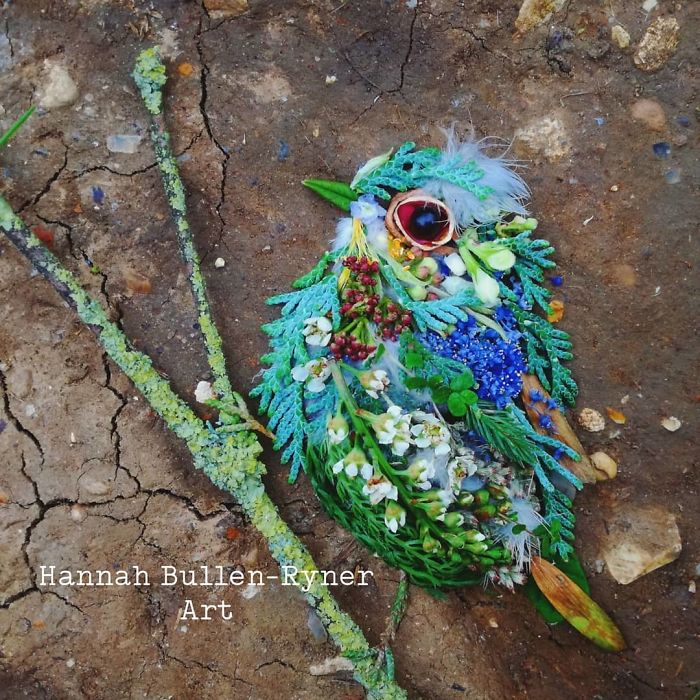 Plant-Flower-Birds-Hannah-Bullen-Ryner