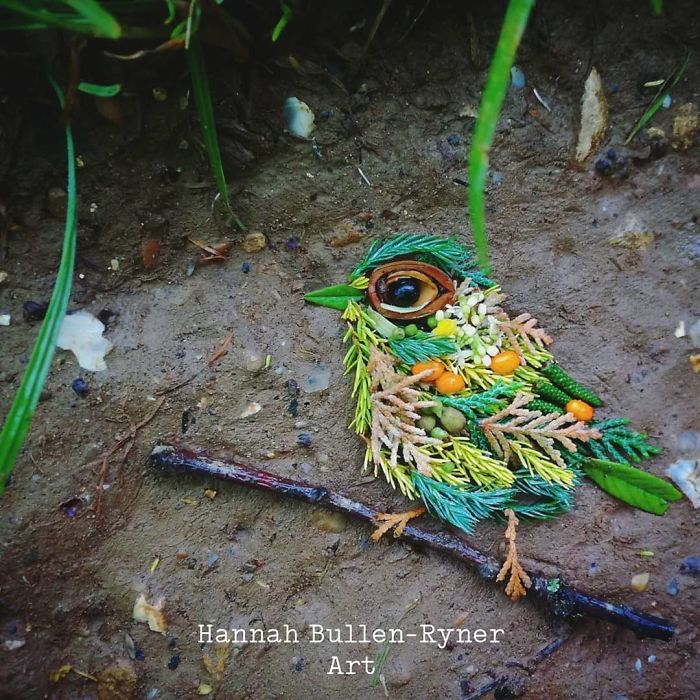 Plant-Flower-Birds-Hannah-Bullen-Ryner