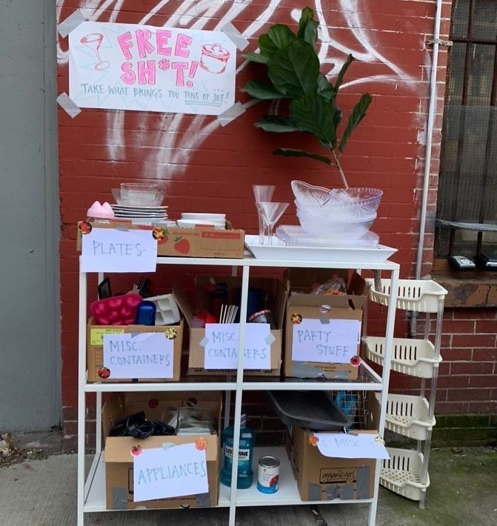 This Is The Most Organized Stoop Of All Time. Bedford/Lex In Bed Stuy ✨#stooping #stoopingbrooklyn