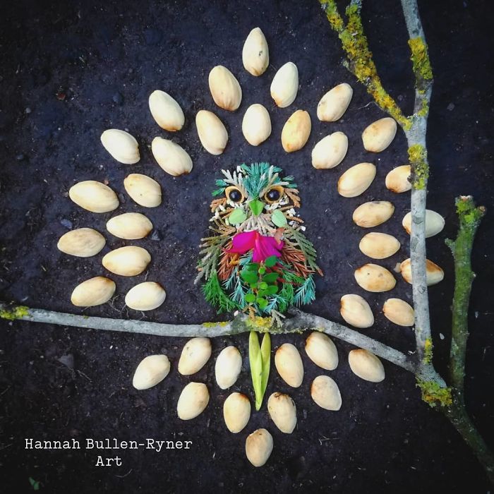 Plant-Flower-Birds-Hannah-Bullen-Ryner