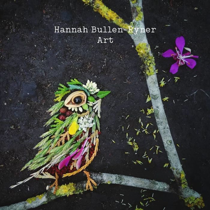 Plant-Flower-Birds-Hannah-Bullen-Ryner