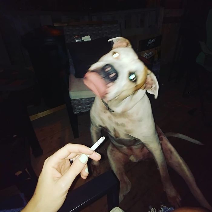 The Creature From My Besties Lagoon