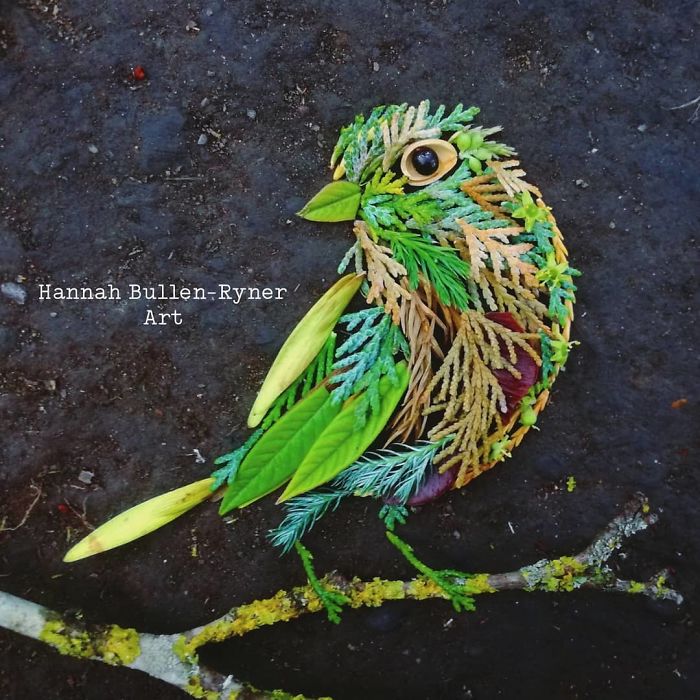 Plant-Flower-Birds-Hannah-Bullen-Ryner