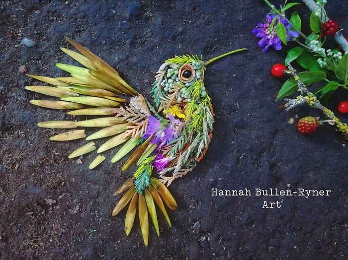 Plant-Flower-Birds-Hannah-Bullen-Ryner