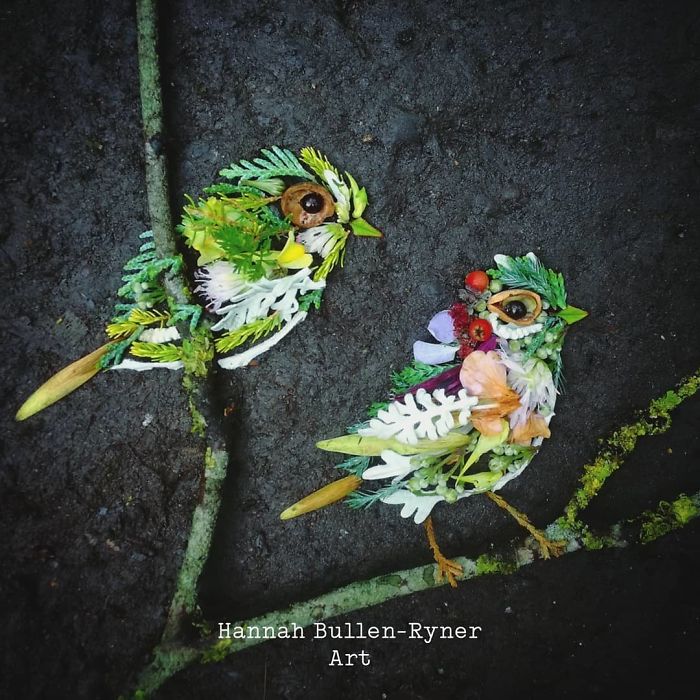Plant-Flower-Birds-Hannah-Bullen-Ryner