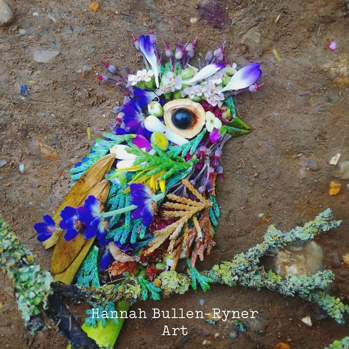 Plant-Flower-Birds-Hannah-Bullen-Ryner