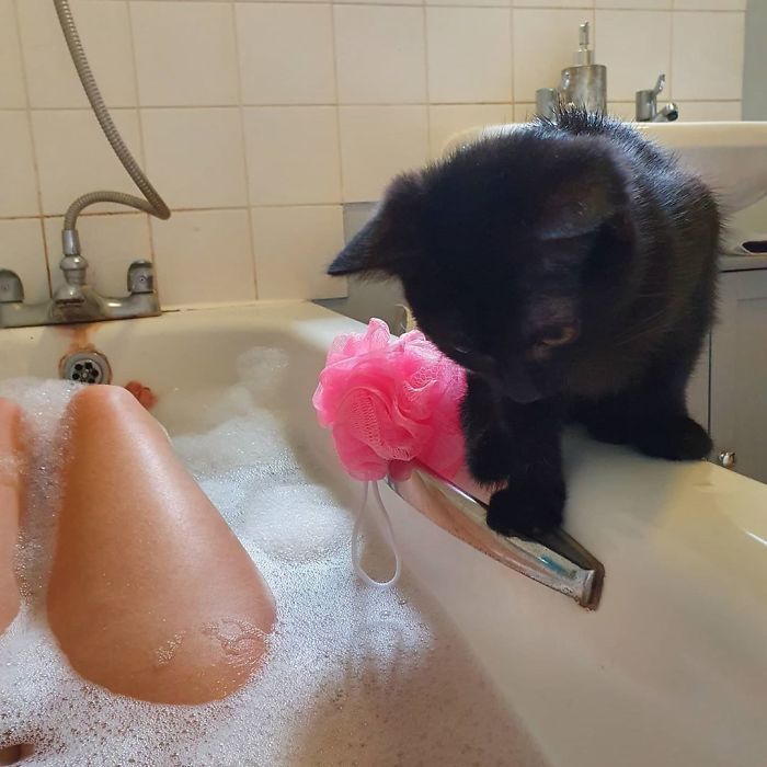 I'm Getting Really Brave