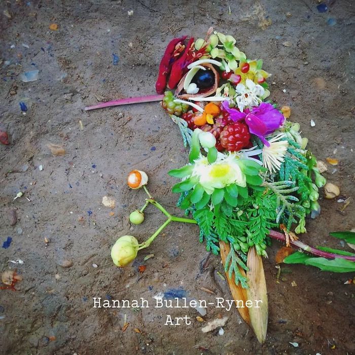 Plant-Flower-Birds-Hannah-Bullen-Ryner