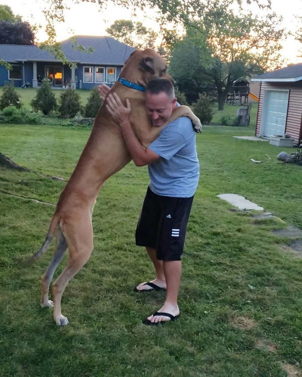 My Pawrent Is A High School Teacher. Now That School Is Back In Session, I Like To Give Him Huge Hugs When He Comes Home