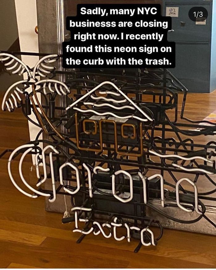 Stooping Success Story: “If 2020 Was A Stooping Success” @thenotortoisebig Has A More Neon Home Now Though!