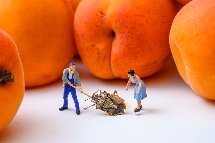 They're Getting Bigger Marta...