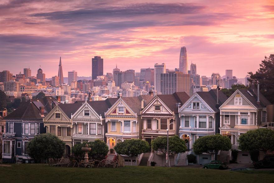 Painted Ladies