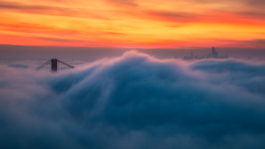 Fog Wave