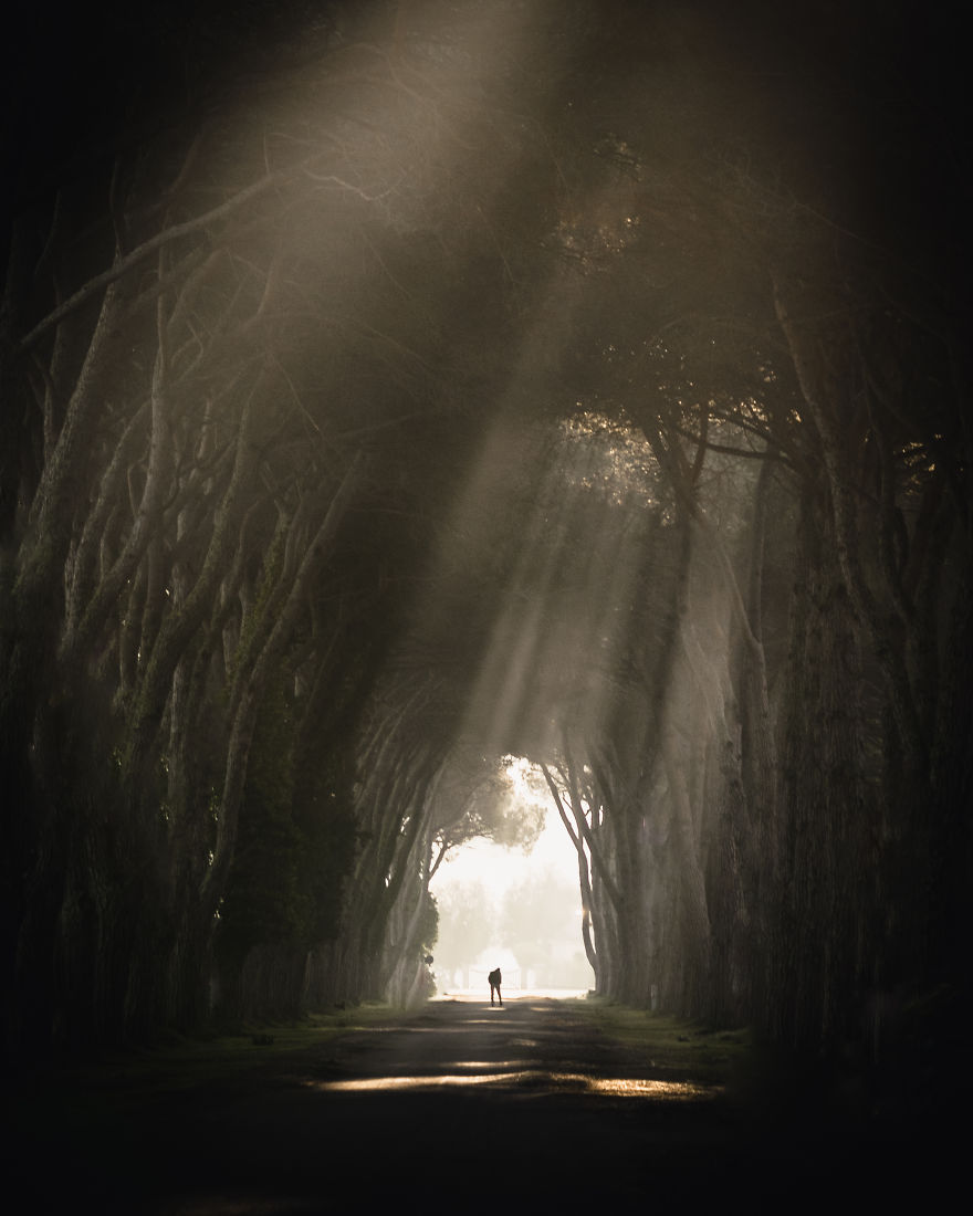 Early Mornings In The National Park