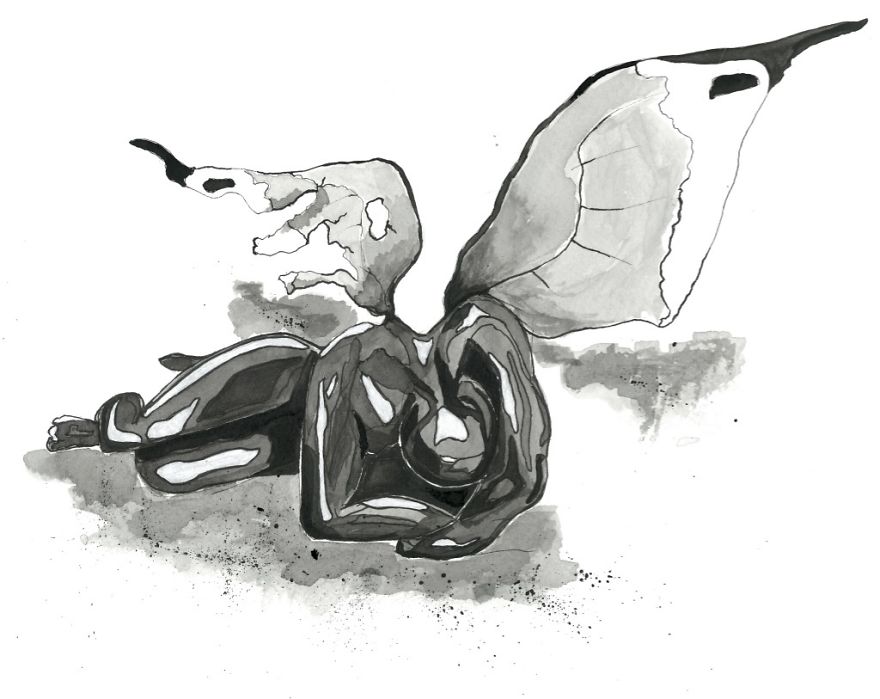 Aedyn Jak Art From His Books