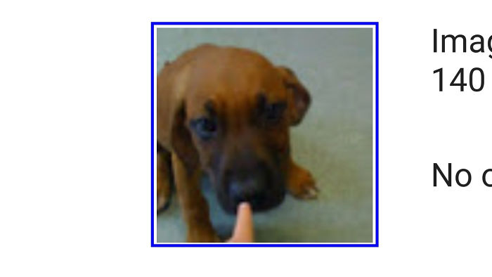 Dis My Dog Red He Was My Fav Boi He Died Of Cancer At Age Ten