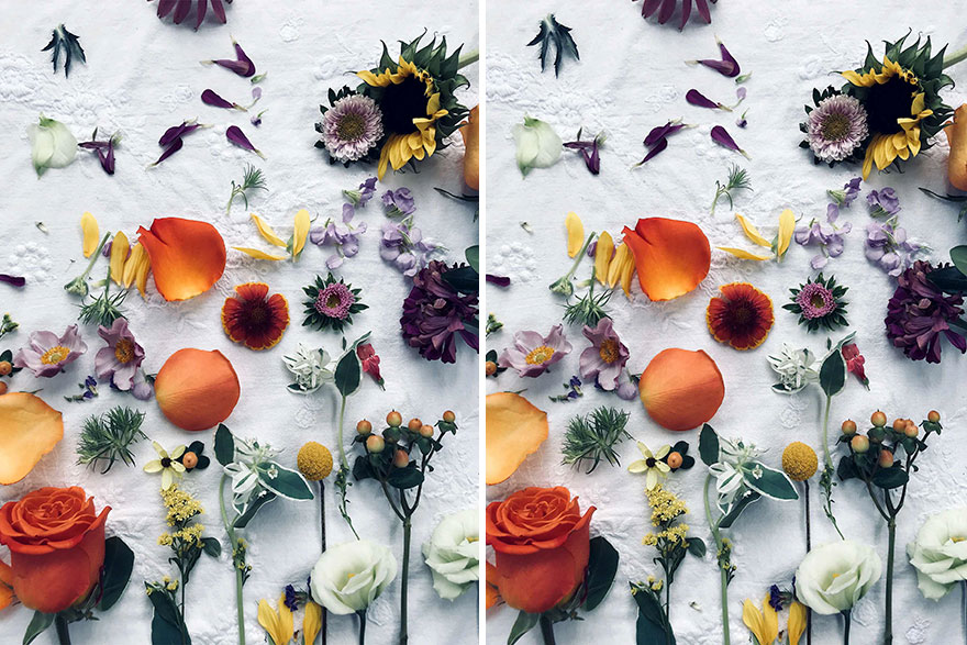 Flowers (10 Differences)