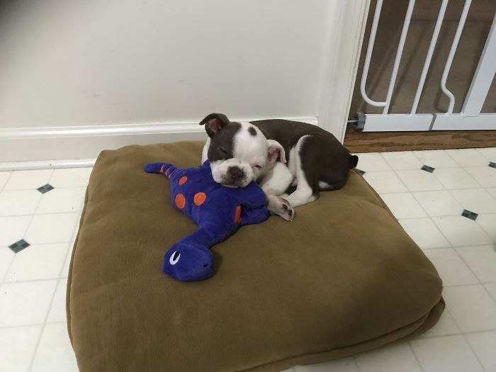 Dublin. First Night In His New Home.