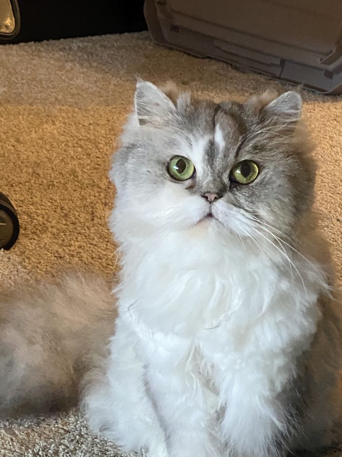 Gonna Share That Taco? Just Try To Say No To That Face!