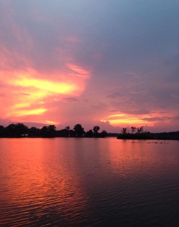 Memoirs Of A Mermaid