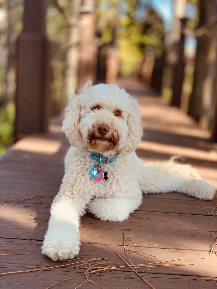 She's Loving The Florida Life