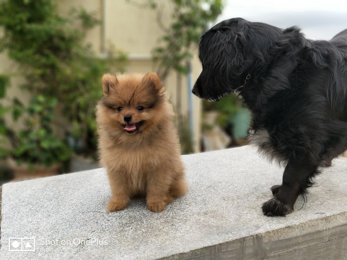 That's April And Charlie. ♥️