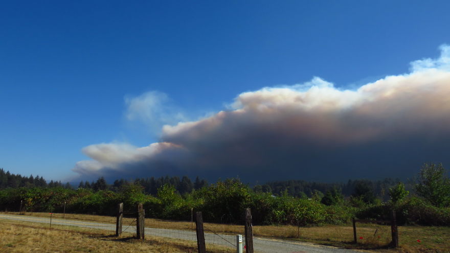I Took These 14 Photos Of Massive Wildfires A Day Before Evacuation From My House In Oregon