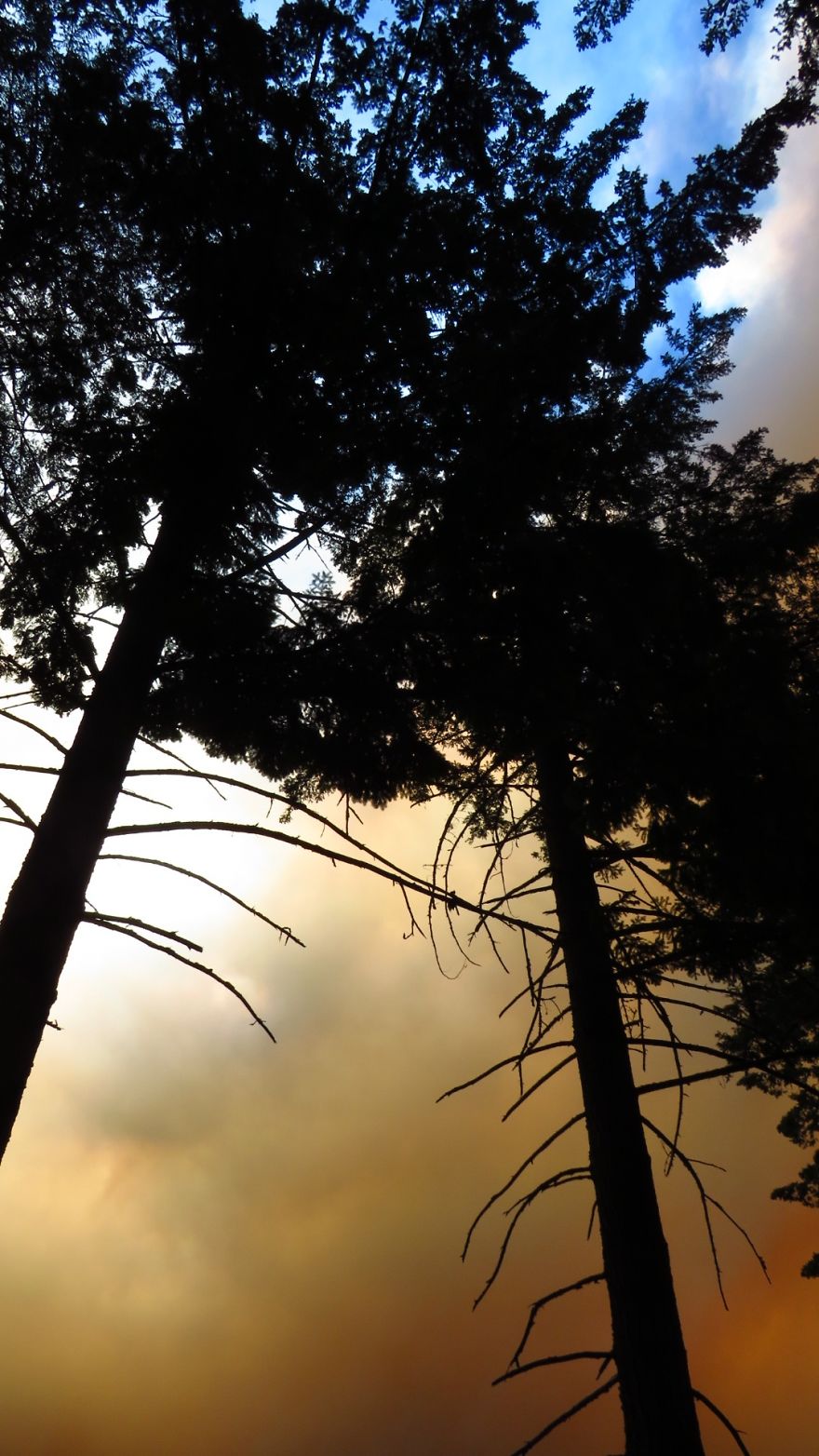 I Took These 14 Photos Of Massive Wildfires A Day Before Evacuation From My House In Oregon I Took These 14 Photos Of Massive Wildfires A Day Before Evacuation From My House In Oregon