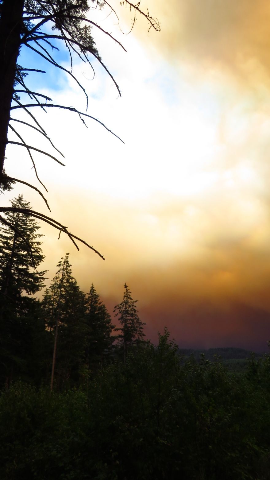 I Took These 14 Photos Of Massive Wildfires A Day Before Evacuation From My House In Oregon I Took These 14 Photos Of Massive Wildfires A Day Before Evacuation From My House In Oregon