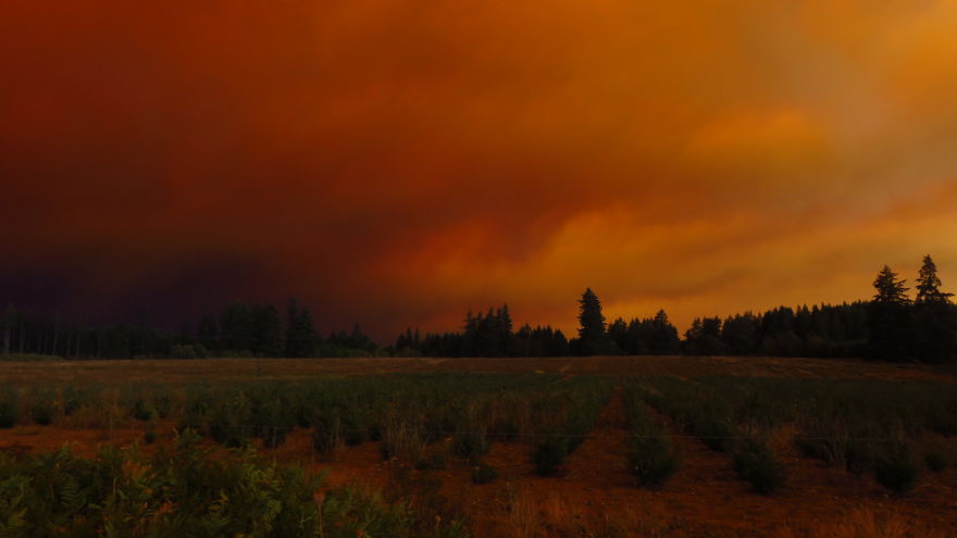 I Took These 14 Photos Of Massive Wildfires A Day Before Evacuation From My House In Oregon I Took These 14 Photos Of Massive Wildfires A Day Before Evacuation From My House In Oregon