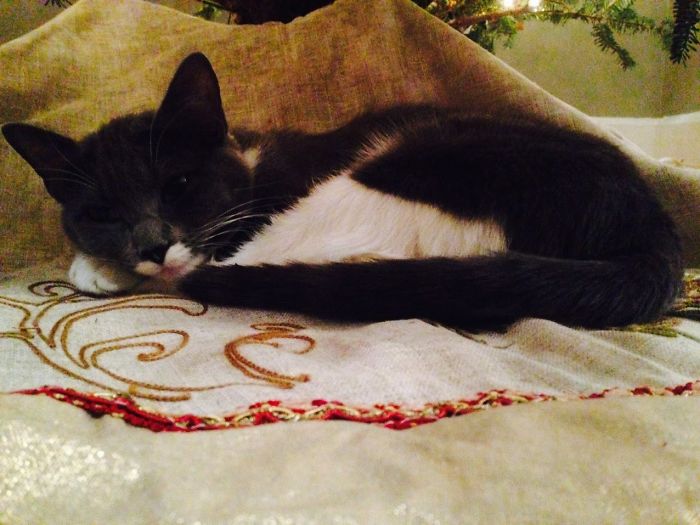 Meet Francesca She Loves Her Napes