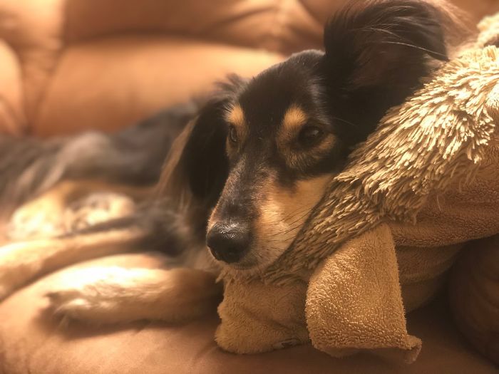 Hey Pandas, What’s Something That Never Fails To Make You Smile? (Ended)