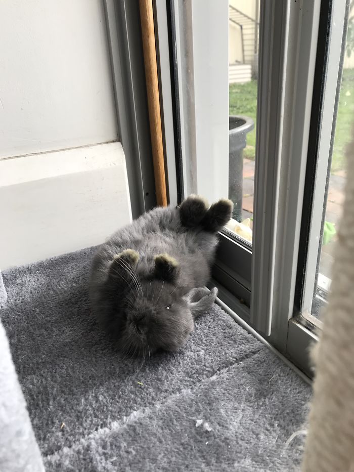 Well This Is A New Sleeping Position