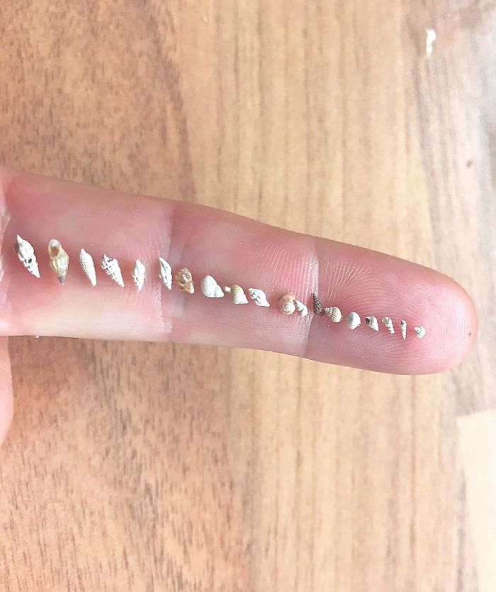 Tiny, Tinier, Tiniest