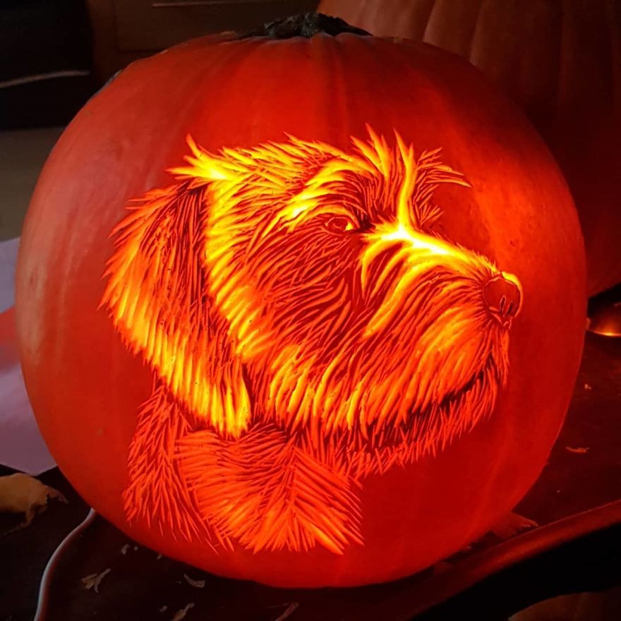 Pumpkin carving of a dog illuminated from within, showcasing detailed fur texture.