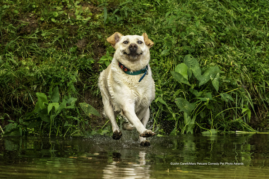 Look Mom - I Can Walk On Water' By John Carelli
