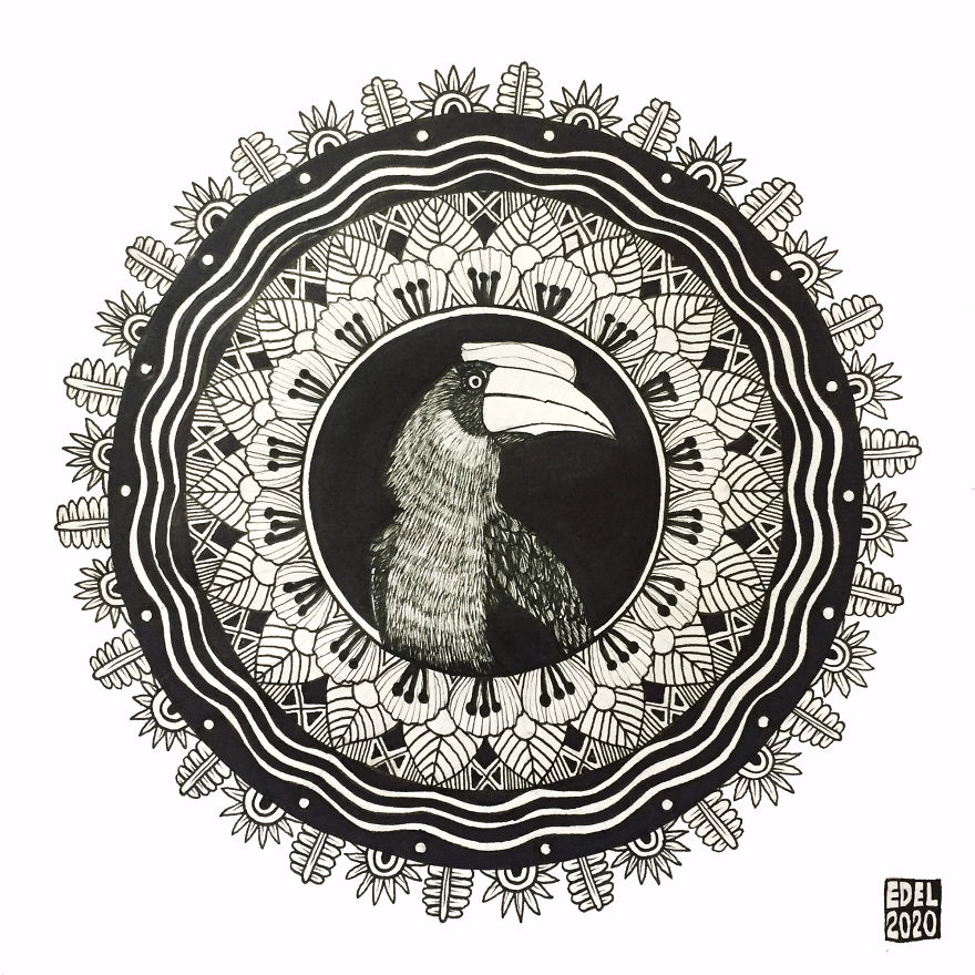 I Used Mandala Art To Help Promote Philippine Endemic Birds