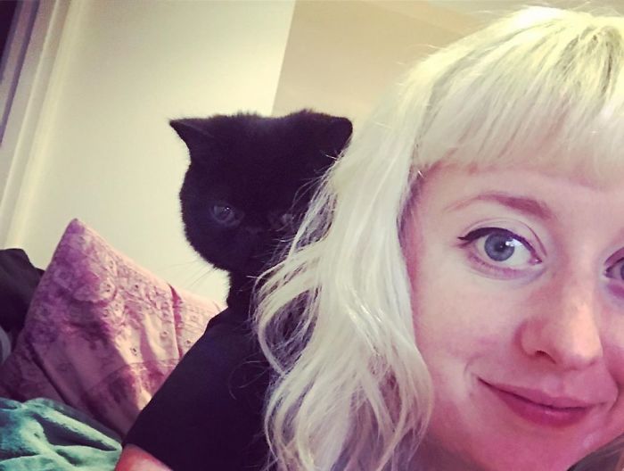 Couple Gets A Cat, And As He Gets Older, His Eyes Change Into Round, Orange, Horror-Like Eyes